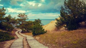 Wooden pathway through a coastal landscape representing navigation and adaptation in SEO translation and localisation